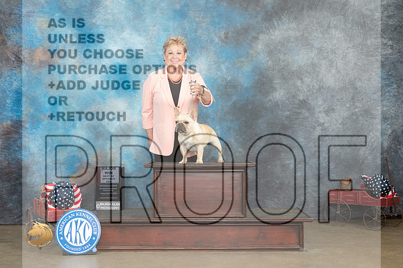 French Bulldog #22 Fri BOSWB Judge Jacqueline L Stacy _MJ_5899_ARK2023_HR3
