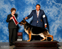 German Shepherd Dog #17 Fri G2 Sanchez Oscar Agent Sergio Espejo Judge Patricia Trotter