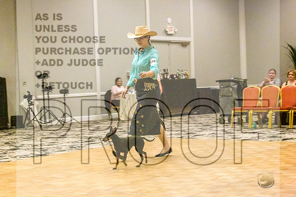 Manchester Terrier MTOY Candids-JJL_2079-Hstn2022_HR3