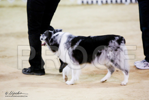 _JN_7732-ASCACollegeStationNov2014-HR3