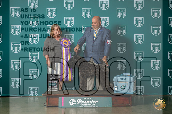 Kerry Blue Terrier #895 Sat BIS Judge Tracey KallasMJP_5499_Premier2023_HR3