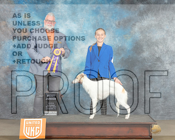 Silken Windhound #249 Sat BJr Judge Matthew Proctor-MJP_2386e_UKCLNGVWMAY 2023-HR3