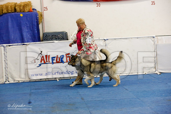 _M3_1647-AddisonHuskyMar2015-HR3