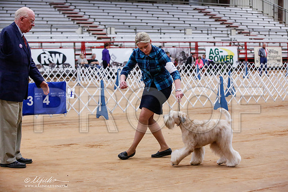 _JJ_8232-TxArJun2014-HR3