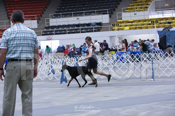 Dobe-4149-AbiMay13HR
