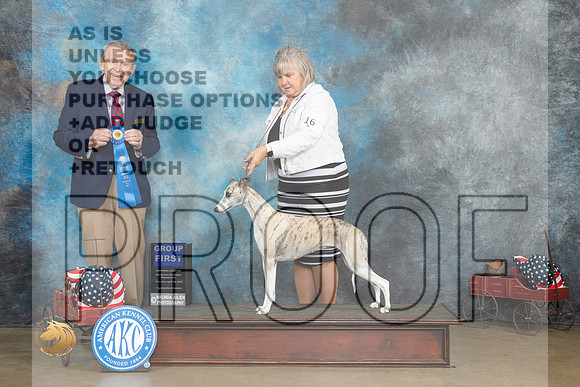 Whippet #16 Thurs G1 Judge Terry Stacy_MJ_5631_ARK2023_HR3