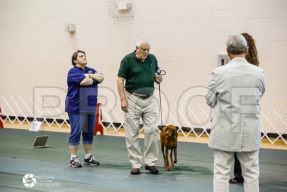 _JJ_5049-BsrCtyJun2014-HR3