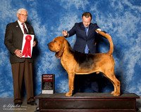 Bloodhound #5 Sat G2 McDonald Judy Agent Brian Livingston Judge Charles Trotter