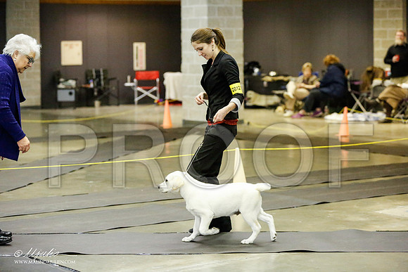 _RH_1116-BeltonJan2015IABCA-HR3