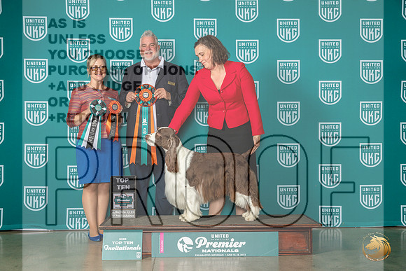 English Springer Spaniel #168 Thur Top10 Trammell ProctorMJP_4689_Premier2023_HR3