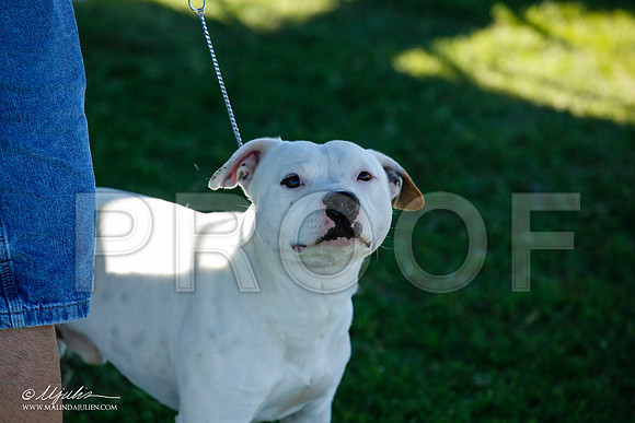 _JN_4388-AlamogordoOct2014-HR3