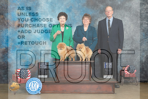 Pomeranians #5 & 6 Thurs WBBOW WBBOS Judge Dale Martenson_MJ_5503_ARK2023_HR3