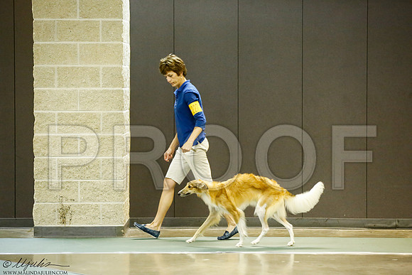 _J3L7119-BeltSep2014-HR
