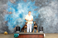 Doberman Pinscher #319 Fri