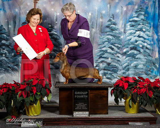 _ST_8762-DallasDec2014-HR3