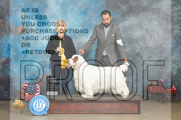 Clumber Spaniel #9 Thur G3 Judge Jacqueline L Stacy_MJ_5828_ARK2023_HR3