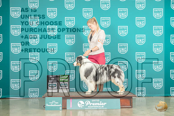 Australian Shepherd #432 Thur BOB DKitterge  Sat G3 Judge Pat O'DonnellMJP_5471_Premier2023_HR3