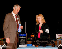 Dachshund Longhaired #15 Sat BOW Nunley Mary and Aubrey Nash Judge Jon Cole