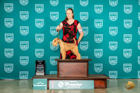 Lakeland Terrier #1079 Thur 10BOB Judge Pat O’Donnell