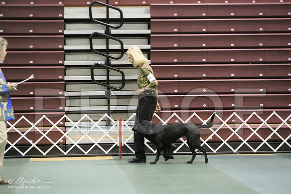 ObNovB-4528-HR