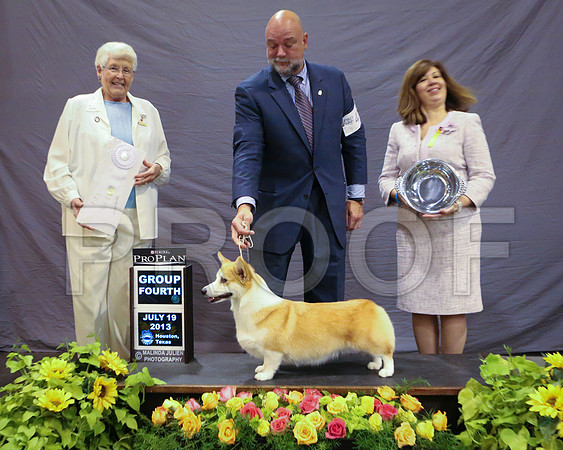 CorgPW-5171-HstnJ13HR
