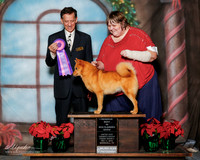 Finnish Spitz  #119 Fri S2 RBIS Urbaver Judge Michael Heflin