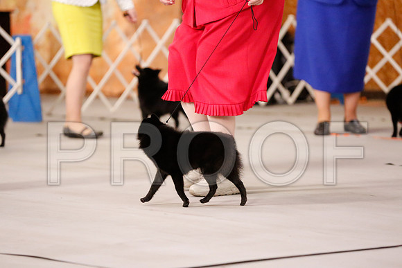 _RH_8698-CarlrolltonSept2014-HR3