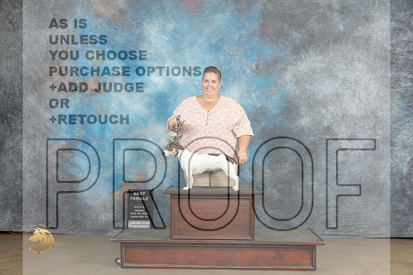 Teddy Roosevelt Terrier #283 Fri BF Judge Tracey KallasMJP_2219_UKCLNVWMAY2023_HR3