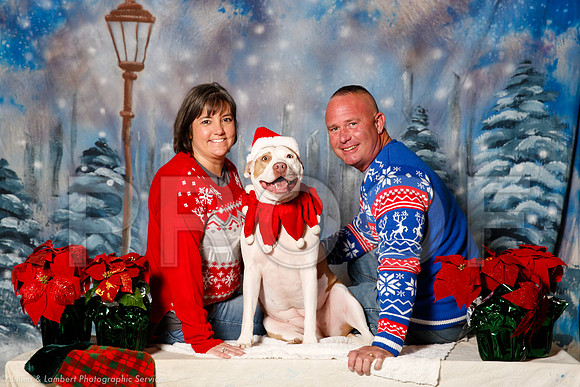 _ST_1394-PetsWestDec2015-HR3