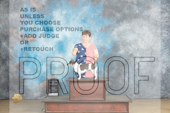 Teddy Roosevelt #273  Fri CH Judge Chandra MartinMJP_1960_UKCLNVWMAY2023_HR3