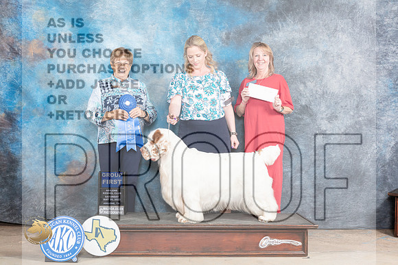 Clumber Spaniel #5 SAT G1 Judge Beverly AndersenMJP_1002_Abilene_2023_HR3