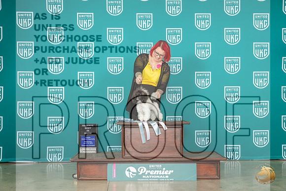 Poodle MC Toy #1094 Fri BOB GrRBIS Judge Dianna BrumbaughMJP_4493_Premier2023_HR3
