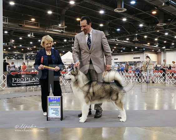 AlMal-2200-HR HstnJul13