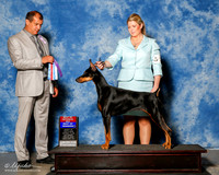Doberman Pinscher #18 Sat BOS BOW Viola Galicki V Tina Marshall Lucy Stubbs Witt Judge Ricardo Forastieri Gonzalez