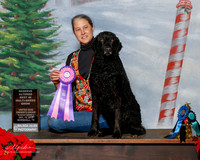 Curly Coated Retriever #153 Sun S2 Alt RBIS Stephan ayers