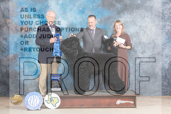 Black Russian Terrier #5 Sun G1 Judge Ronald HornMJP_1672_Abilene_2023_HR3