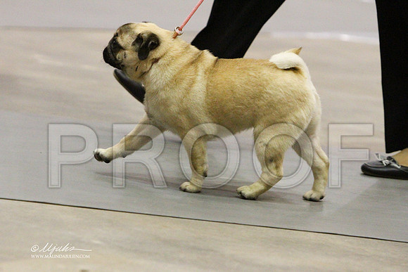 Pug-9343LR