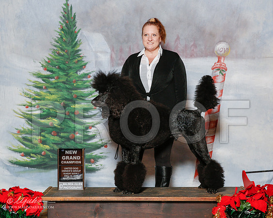 _R2_2149-MrshlDec2015-HR3