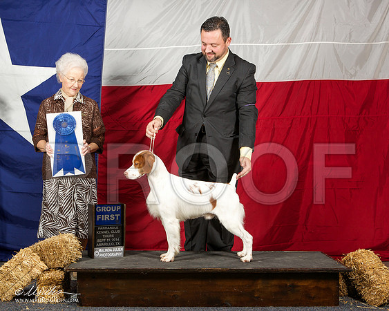 _ST_1392-AmarilloSep2014-HR3