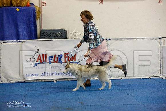 _M3_0697-AddisonHuskyMar2015-HR3