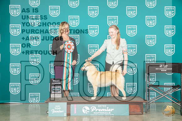 Norwegian Buhund #? Thur BJr Judge Felicity TrammellMJP_4304_Premier2023_HR3