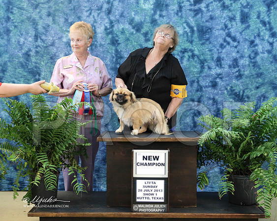 tibbie-9690-HuttoJul13