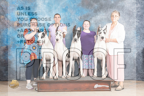 Great Dane Sun CircusMJP_1333_Abilene_2023_HR3