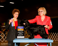 Cocker Spaniel #6 Fri BOB Miller Linda and Cari Stanley Judge Patricia Trotter