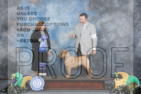 Shar Pei #5 Fri G1 Judge Elizabeth Muthard_WP_2071-Alexandria 2025-HR3