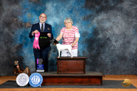 Toy Fox Terrier #5 Fri OHG1 Judge Tim Robbins