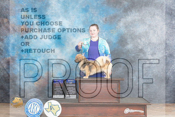 Tibetan Terrier #9 Fri BOBOHBOBBOW Judge TErry BerriosMJP_0248_Abilene_2023_HR3