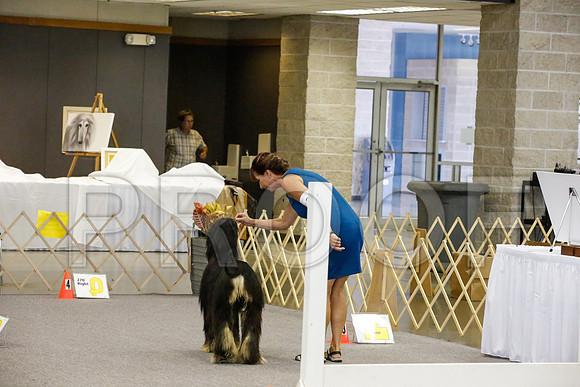 _JJ_3061-AfgNtlBltnOct2014-HR3