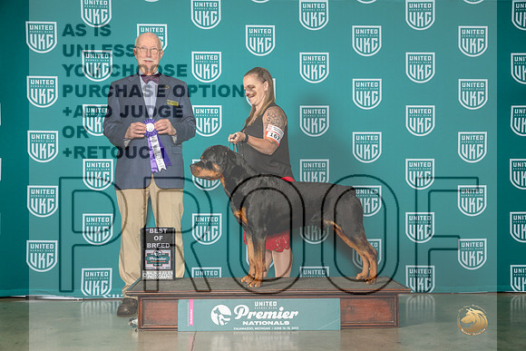 Rottweiler #167 Sat BOB Judge Ron Horn-MJP_5114e-Premier2023-HR3