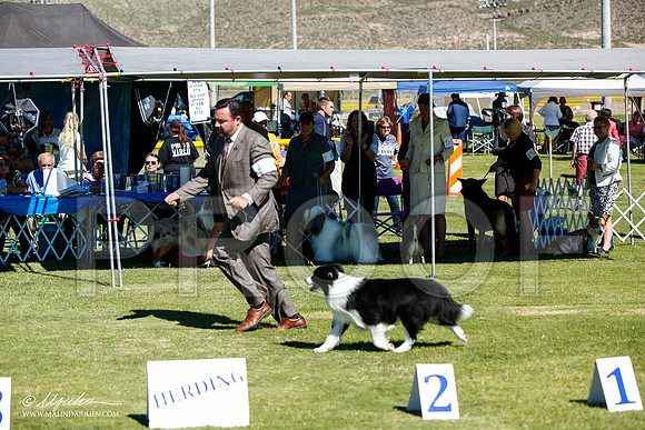 _JJ_5474-AlamogordoOct2014-HR3